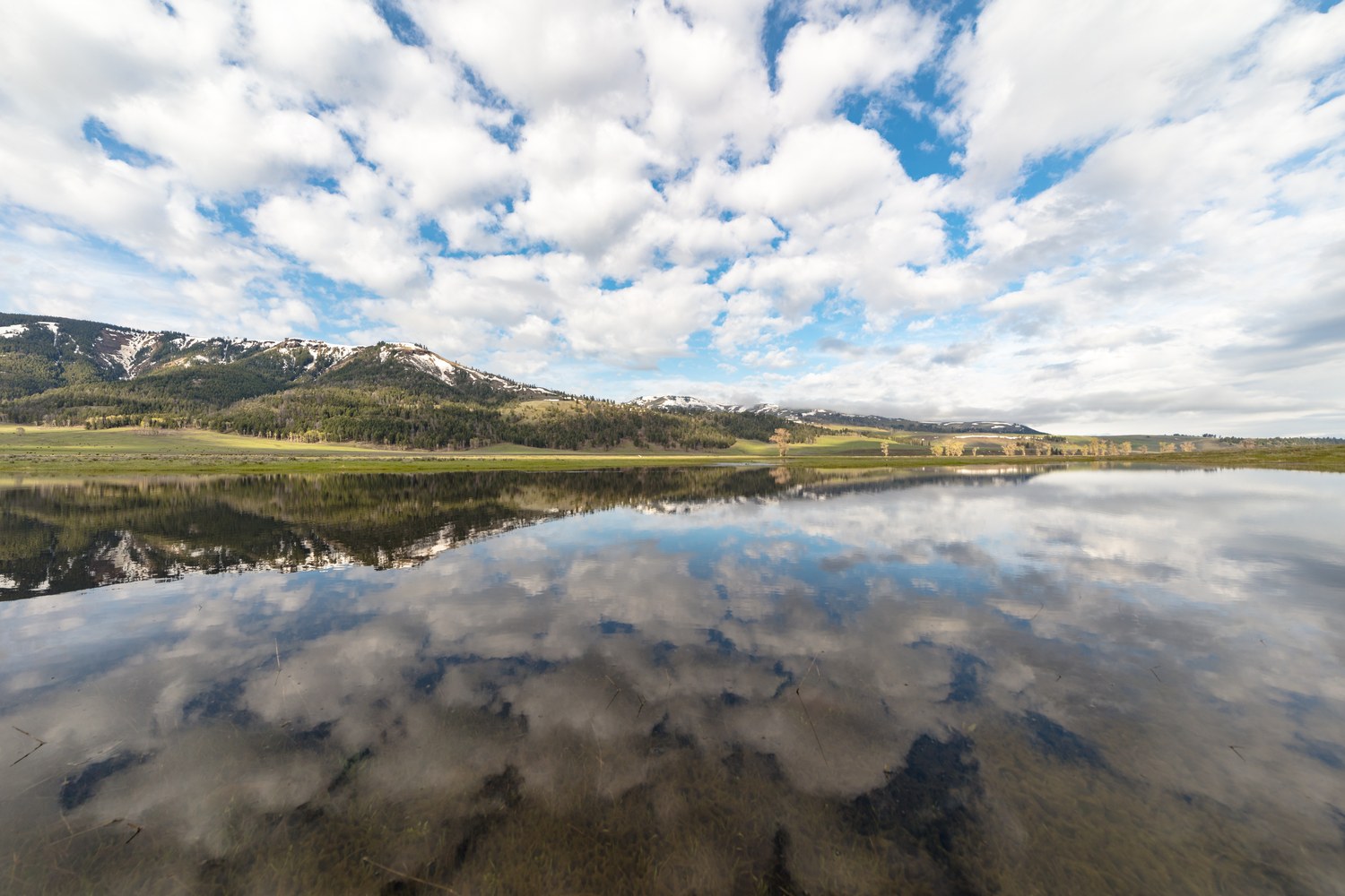 Clouds reflected in still water on the floor of the Lamar Valley under a broad sky.